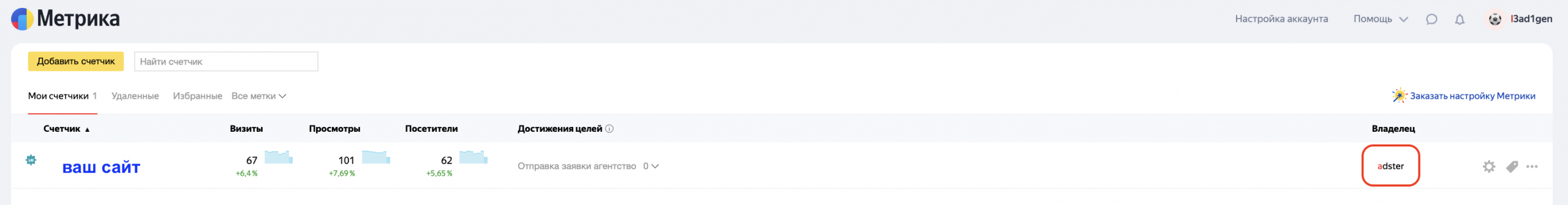 владелец счетчика Метрики